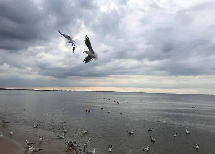 Victoria 3* Międzyzdroje