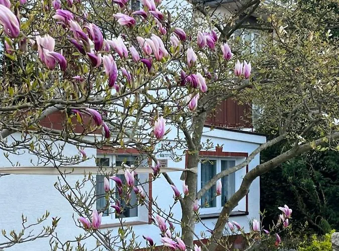 Victoria Pensjonat 3*